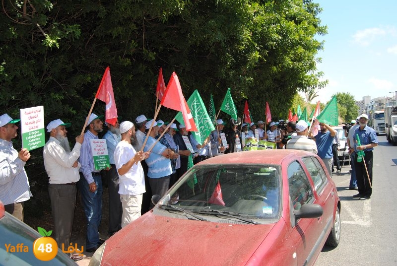 td turky impassy (31).JPG